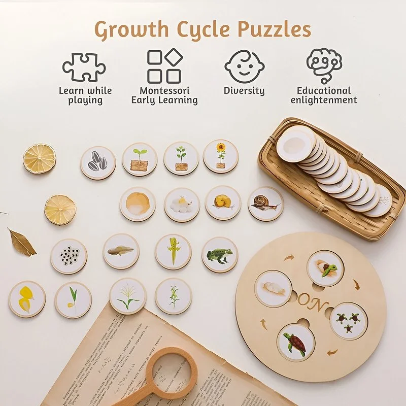 Animal & Plant Life Cycle Montessori Board