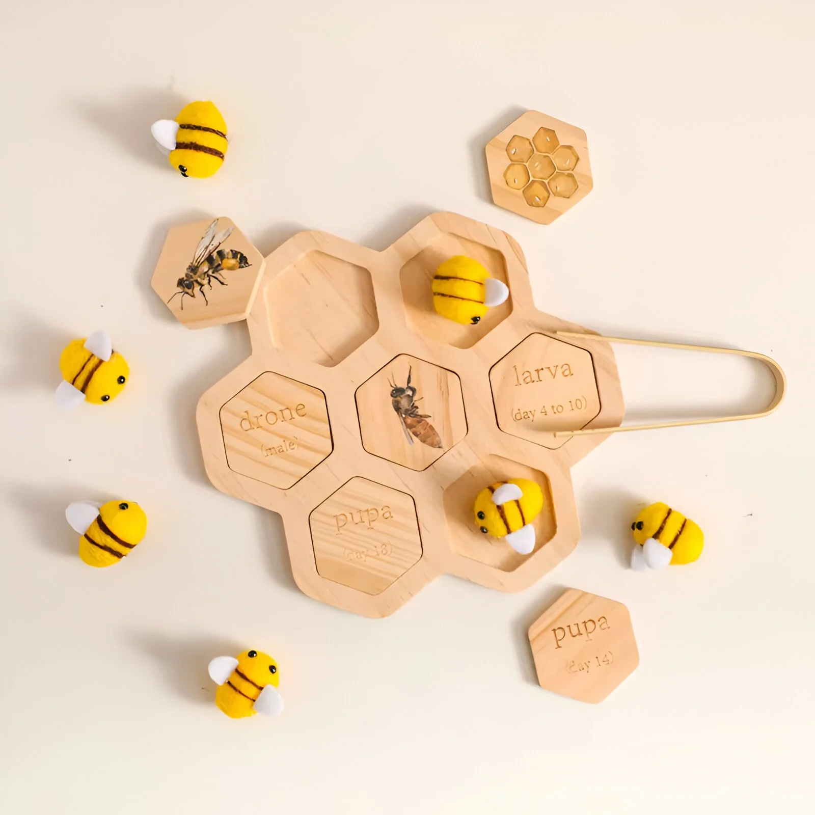 Montessori Bee Growth Cycle Toy