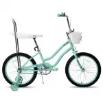 20 Inch Girls Bike with Training Wheels