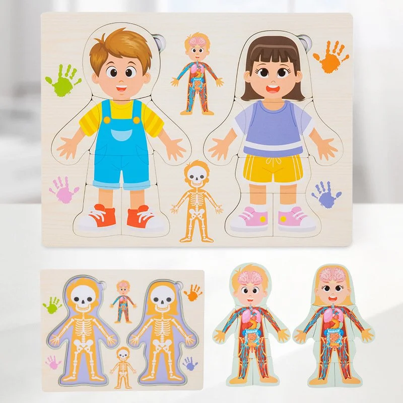 Kids Wooden Human Body Anatomy Puzzle – Montessori Learning Toy