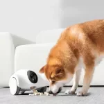 Intelligent Pet Companion Robot with Mobile Surveillance