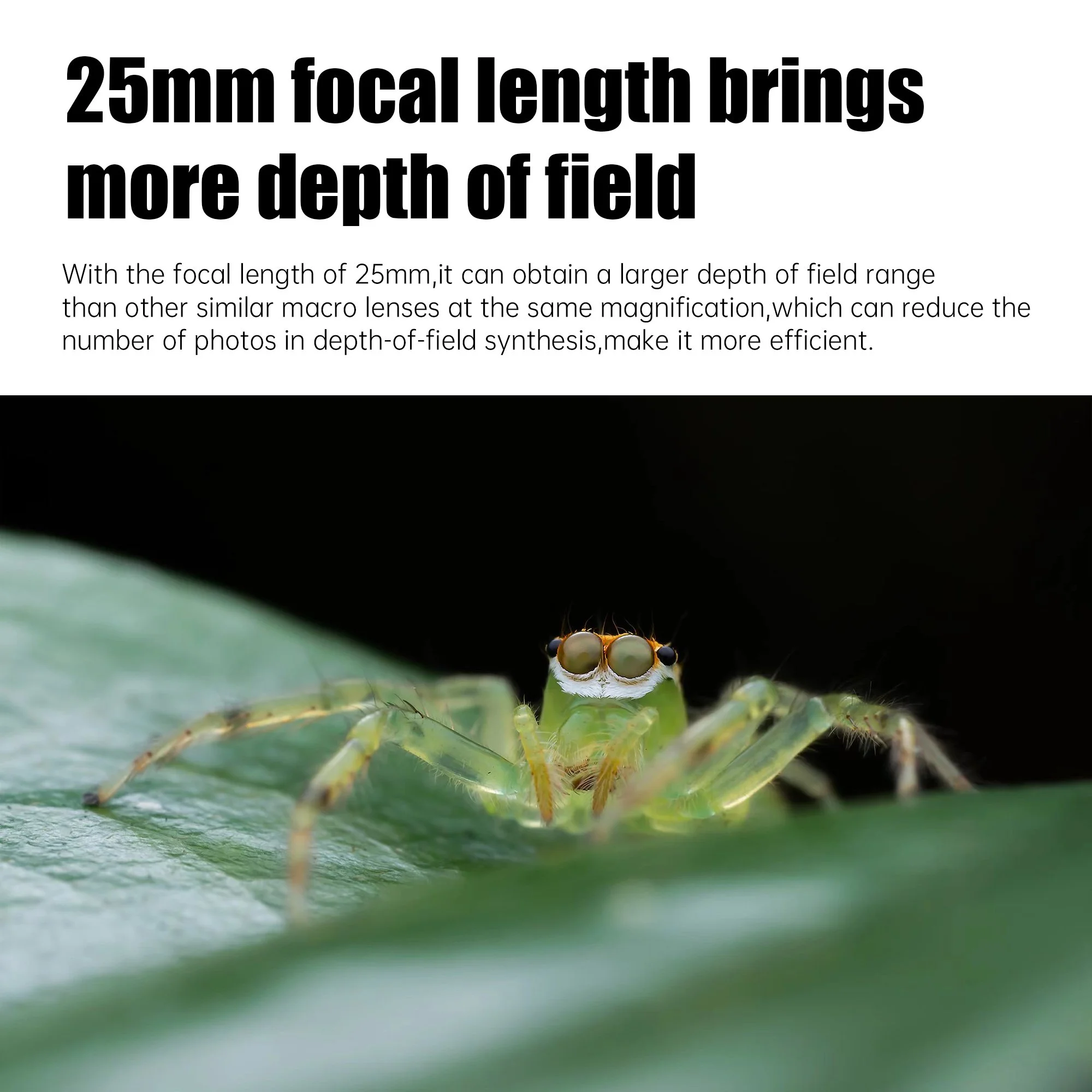 25mm F2.8 Full Frame Ultra Macro Lens