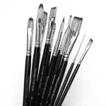 Professional 12-Piece Paint Brush Set