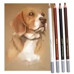 4 Color Charcoal & Soft Pastel Skin Tone Pencils