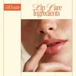 Soft Lips Start with Smart Ingredients – Checklist for what ingredients help with dry lips | Lip Care Ingredient Guide for Dry, Chapped Lips