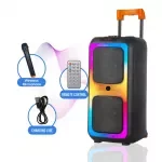 Dual 8-Inch Bluetooth Karaoke Speaker System