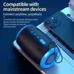 Portable Wireless Bluetooth Speaker with FM, SD, USB, Aux Modes & Waterproof