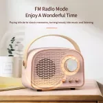 Retro Mini Bluetooth Speaker with FM Radio, Wireless TWS Music Player