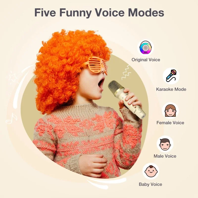 Portable Karaoke Machine with 2 Wireless Mics and Bluetooth Speaker
