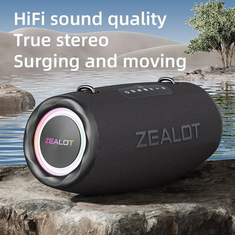 80W Portable Bluetooth Speaker