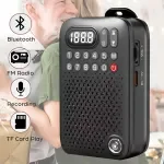 Mini Pocket FM Radio with Bluetooth Speaker, LED Display & Recorder