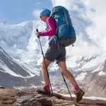 Ultralight Carbon Fiber Hiking Poles – Adjustable Trekking Walking Stick