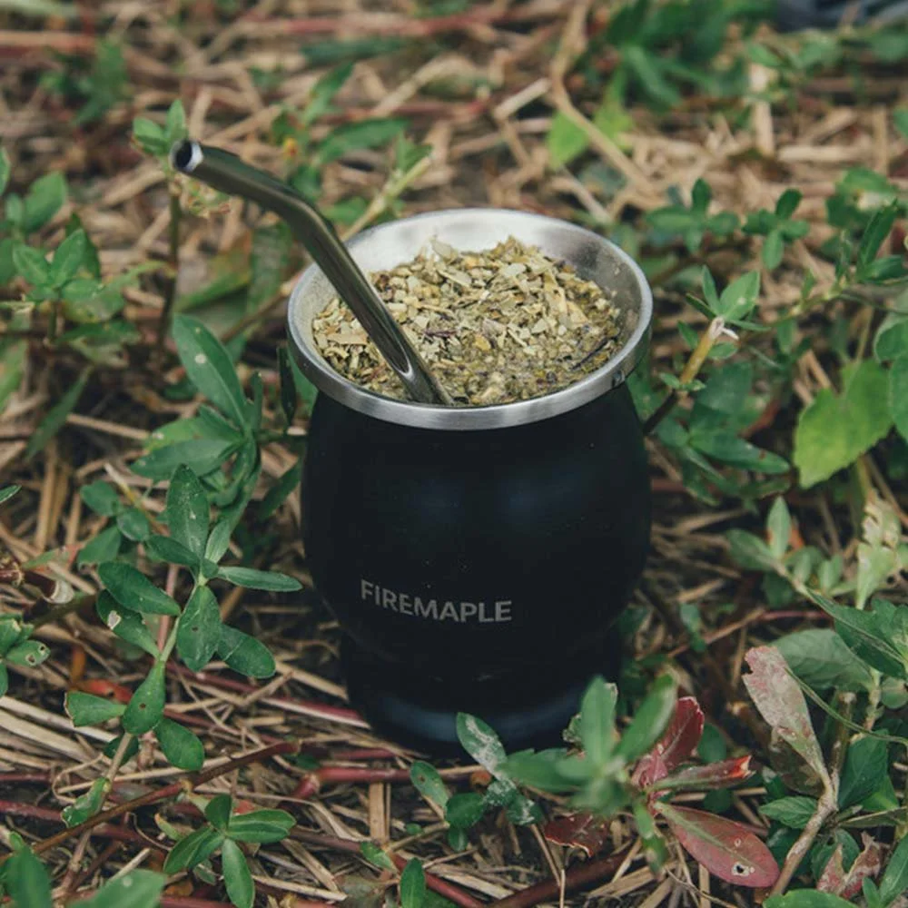 Portable Stainless Steel Yerba Mate Cup Set with Bombilla and Cleaning Brush