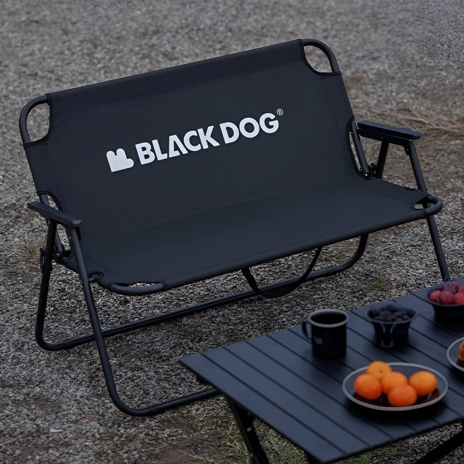 Folding Double Camping Chair with Backrest