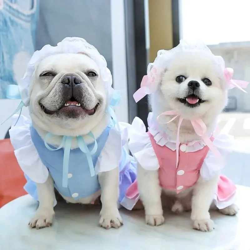 Adorable Pet Maid Cosplay Costume