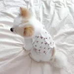 Cherry Print Dog Vest