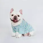 Autumn Pet Hoodie - Long Sleeve Pullover for Small and Medium Dogs and Cats