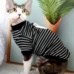 Spring and Autumn Cute Cat & Small Dog Clothing