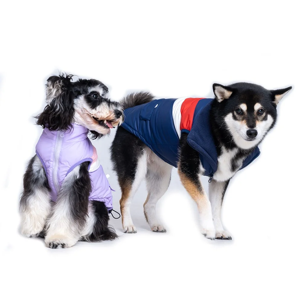 Waterproof Dog Coat for Small and Medium Dogs - Lightweight and Warm