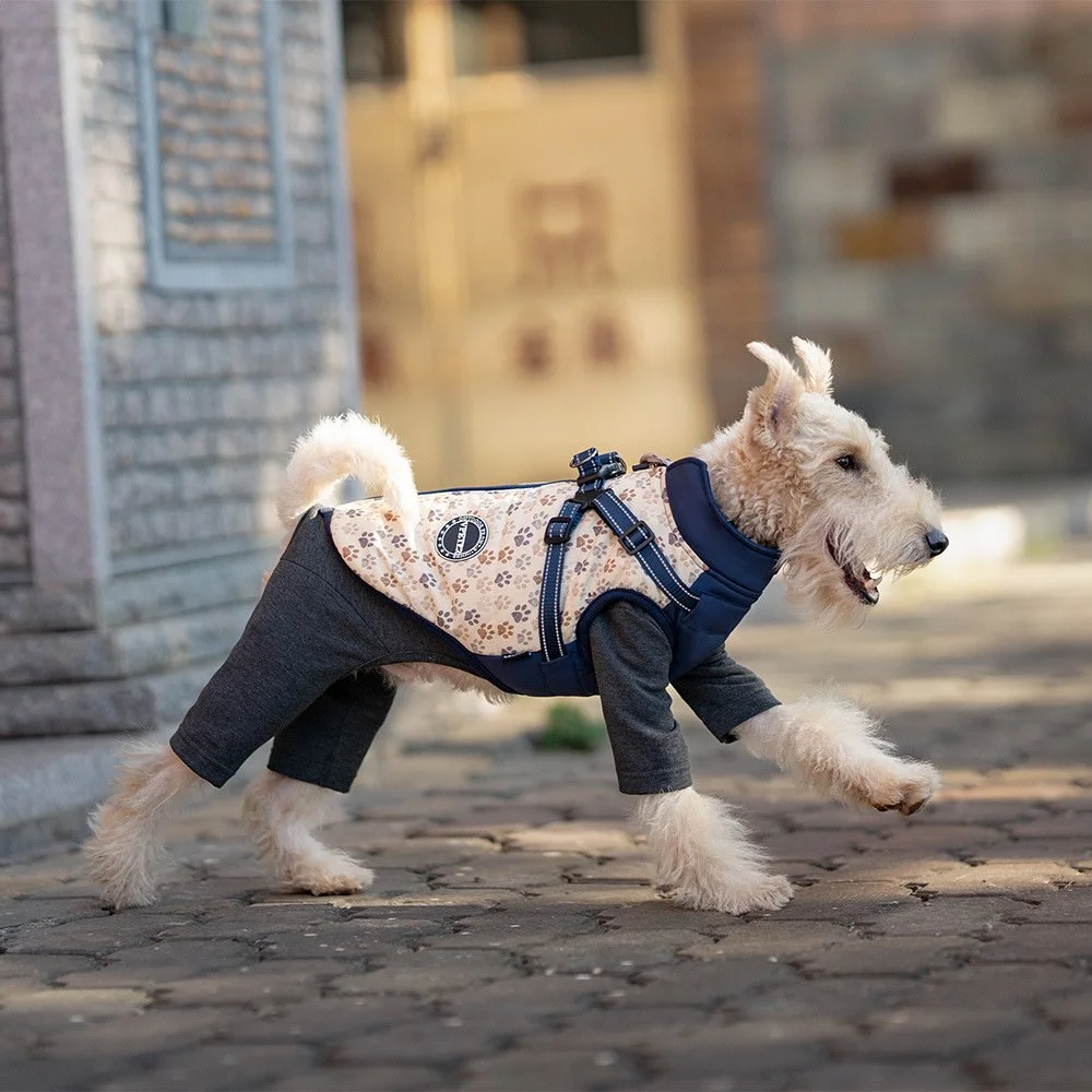 Waterproof Dog Jacket with Harness – Warm, Reflective Coat for Small Dogs