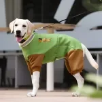 Winter Sweater for Large Dogs
