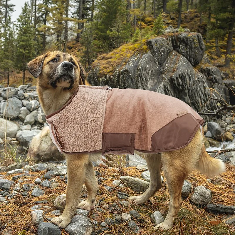 Sherpa Suede Winter Dog Coat