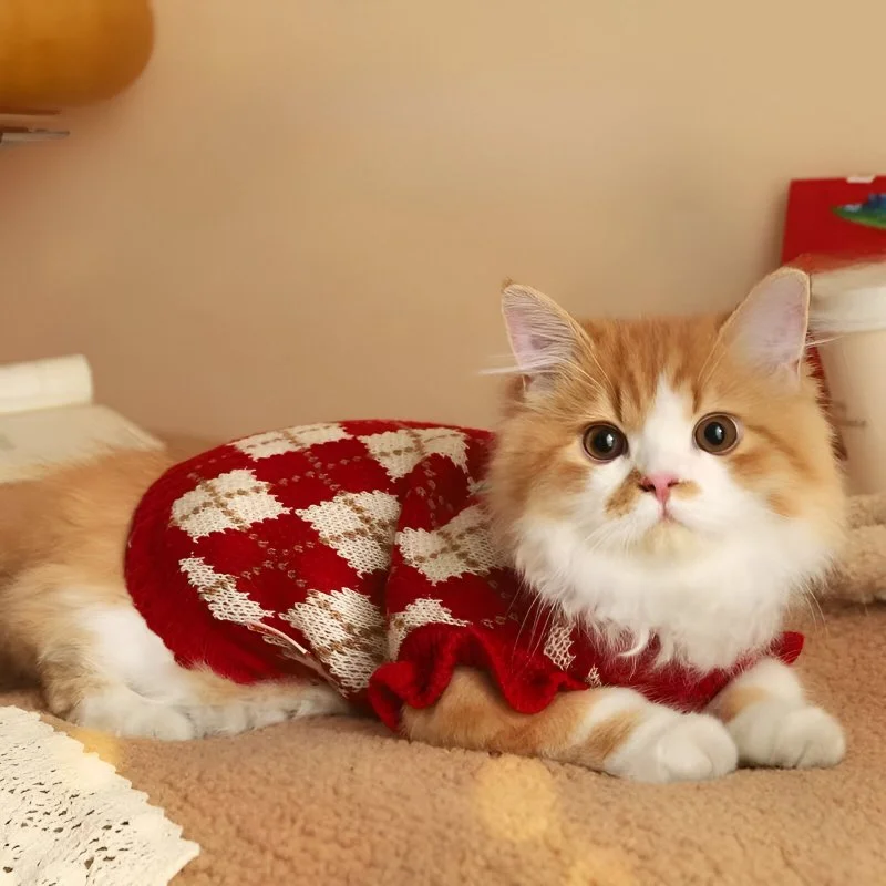 Red Cat Winter Clothes for Kittens