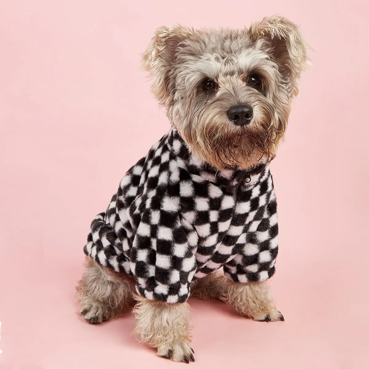 Luxury Winter Dog Coat