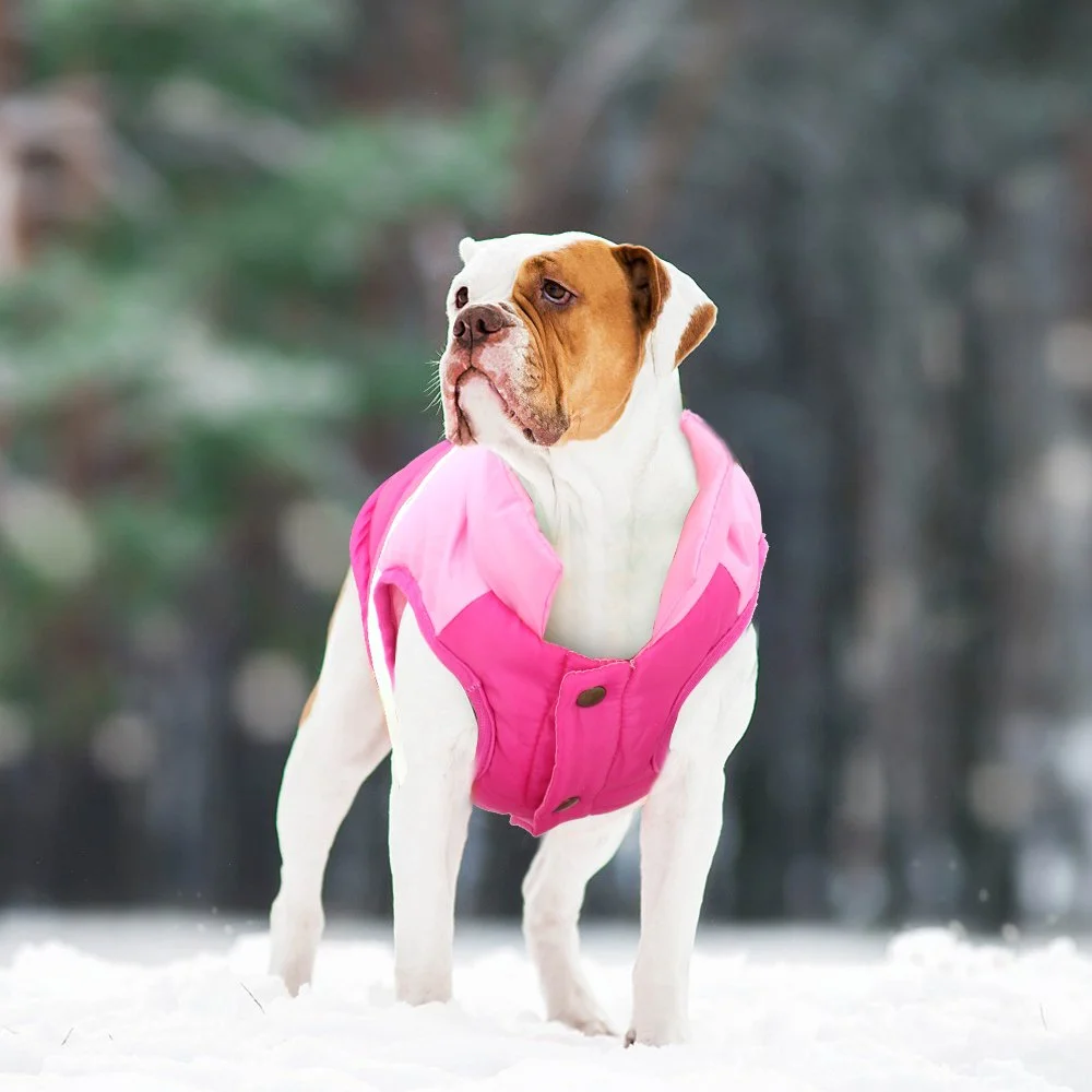 Warm Dog Coat Jacket - Padded Winter Vest for Small to Large Dogs
