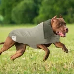 Waterproof Warm Puffy Dog Coat - Windproof Jacket for All Dog Sizes