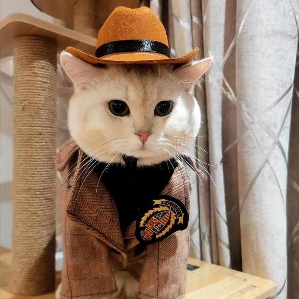 Pet Cowboy Hat
