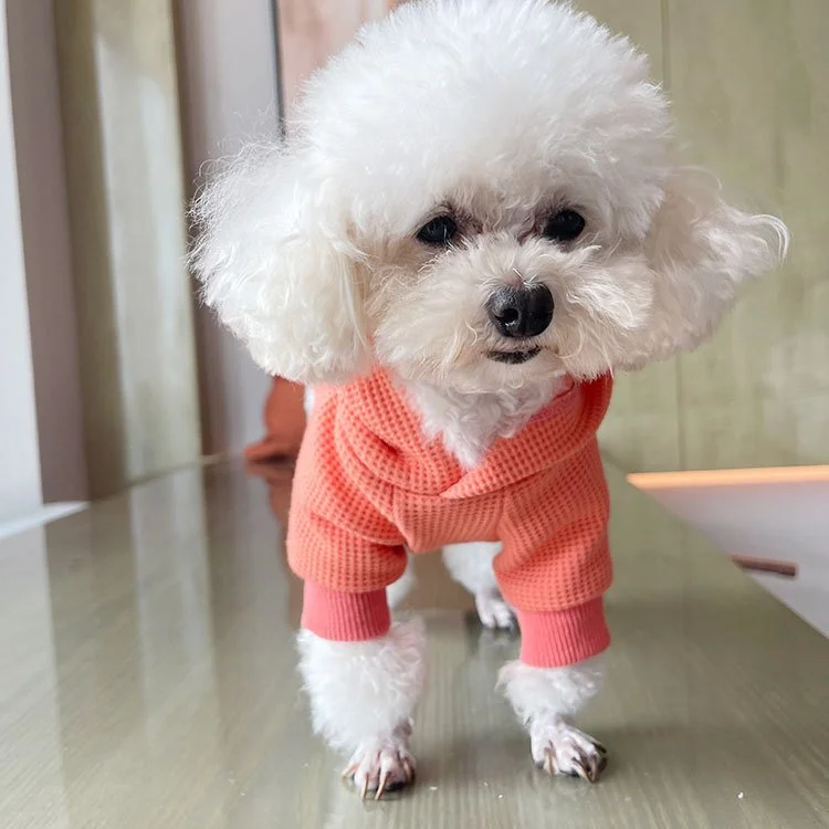 Cozy Waffle Cotton Dog Hoodie
