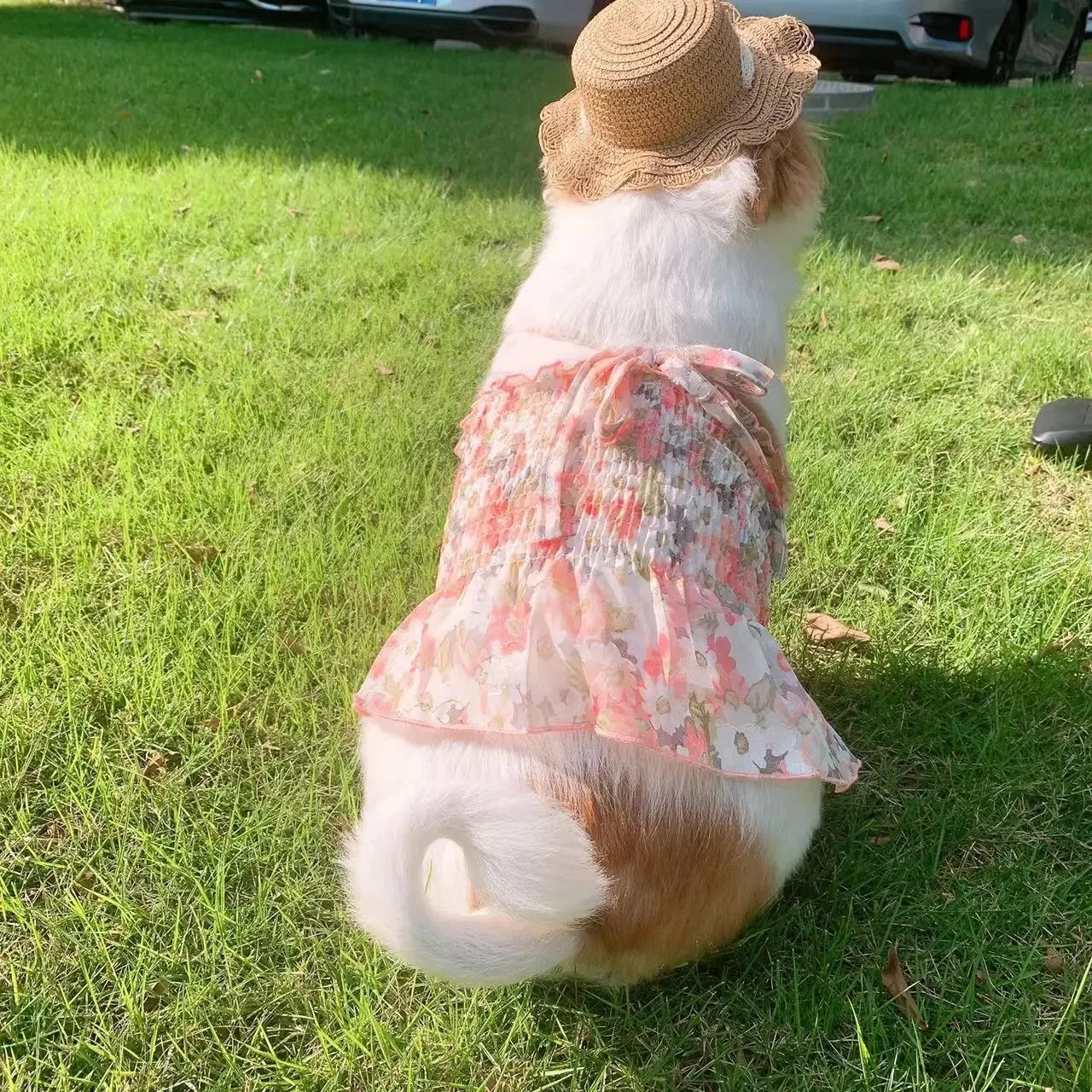 Summer Floral Chiffon Dress for Small Dogs