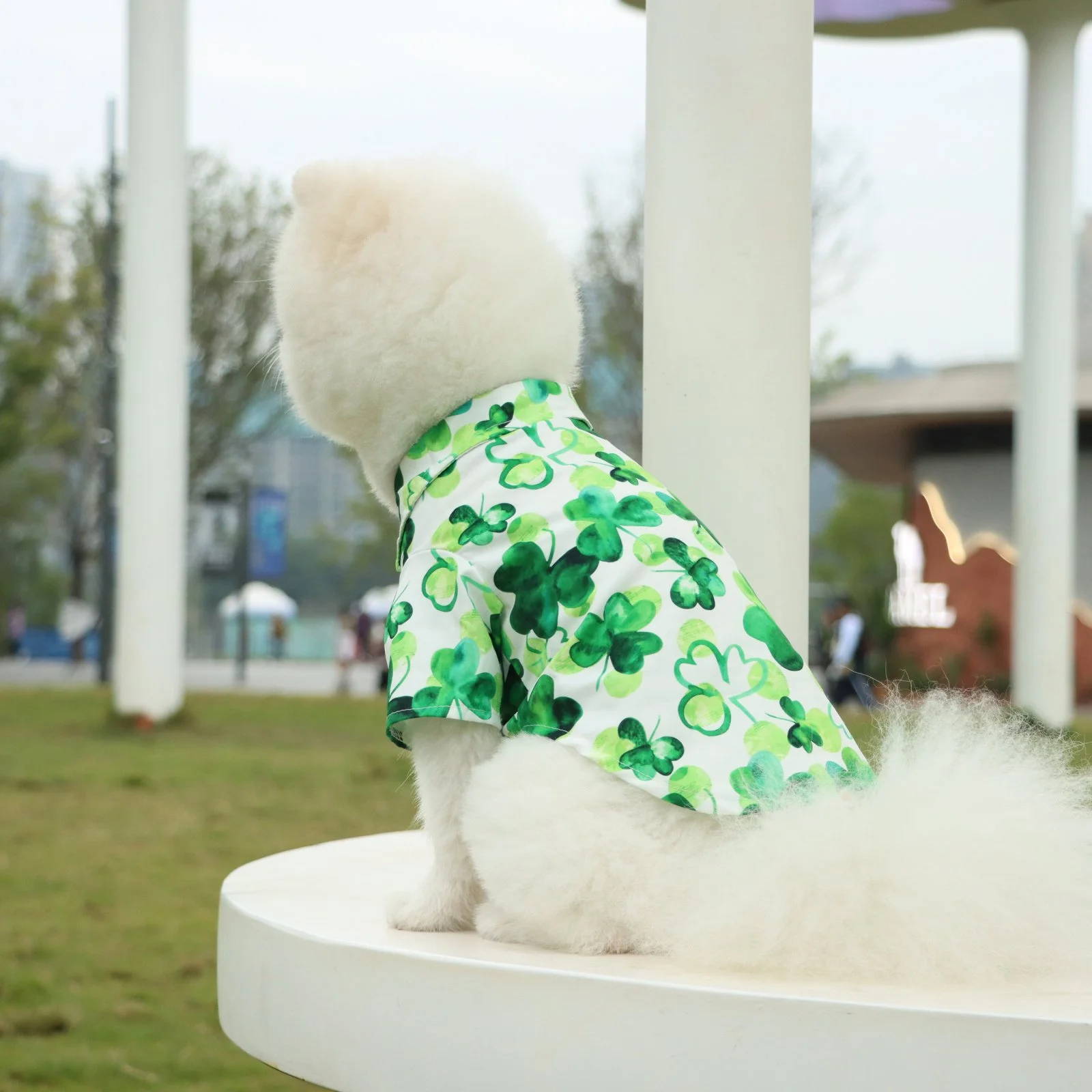 Funny Clover Dog Shirt for Small and Medium Pets