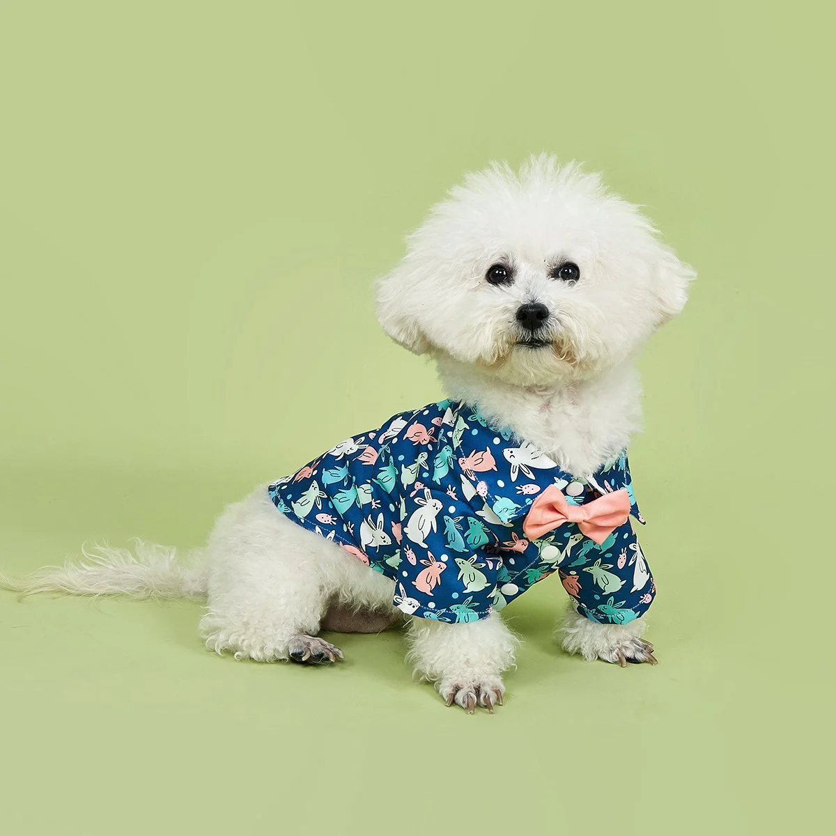 Adorable Bunny Print Dog Shirt for Small Dogs