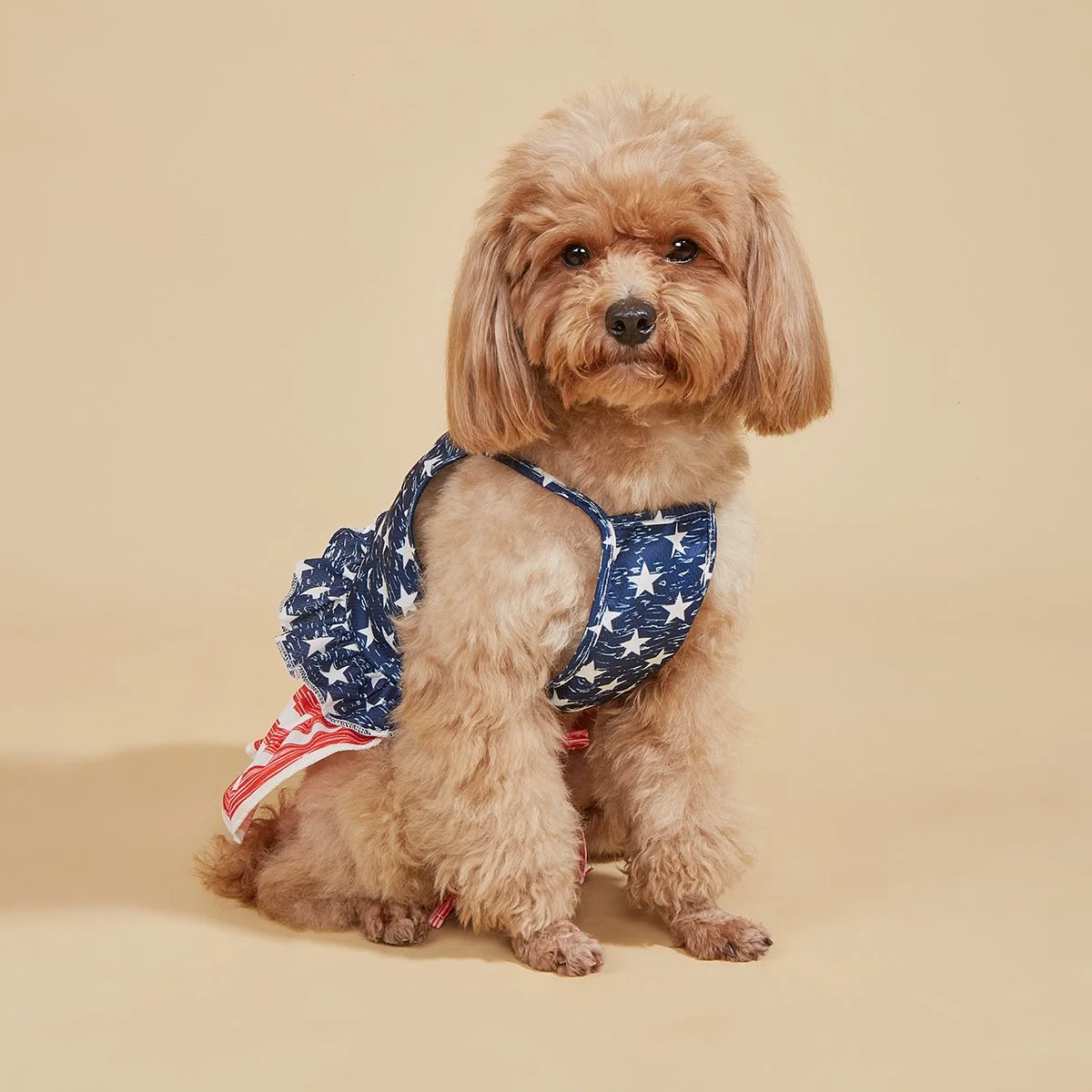 Adorable Striped Stars Dog Dress