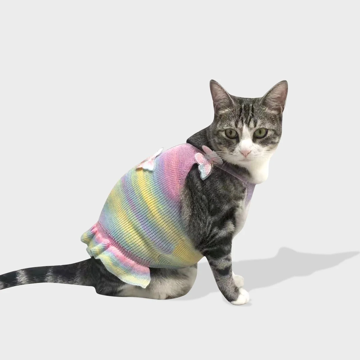 Adorable Knitted Rainbow Dog Dress with Butterfly