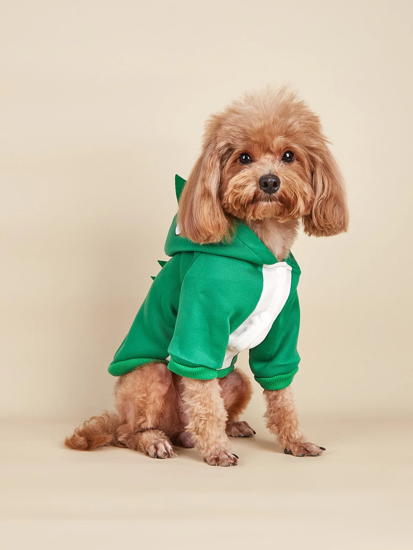 Adorable Dinosaur Dog Costume