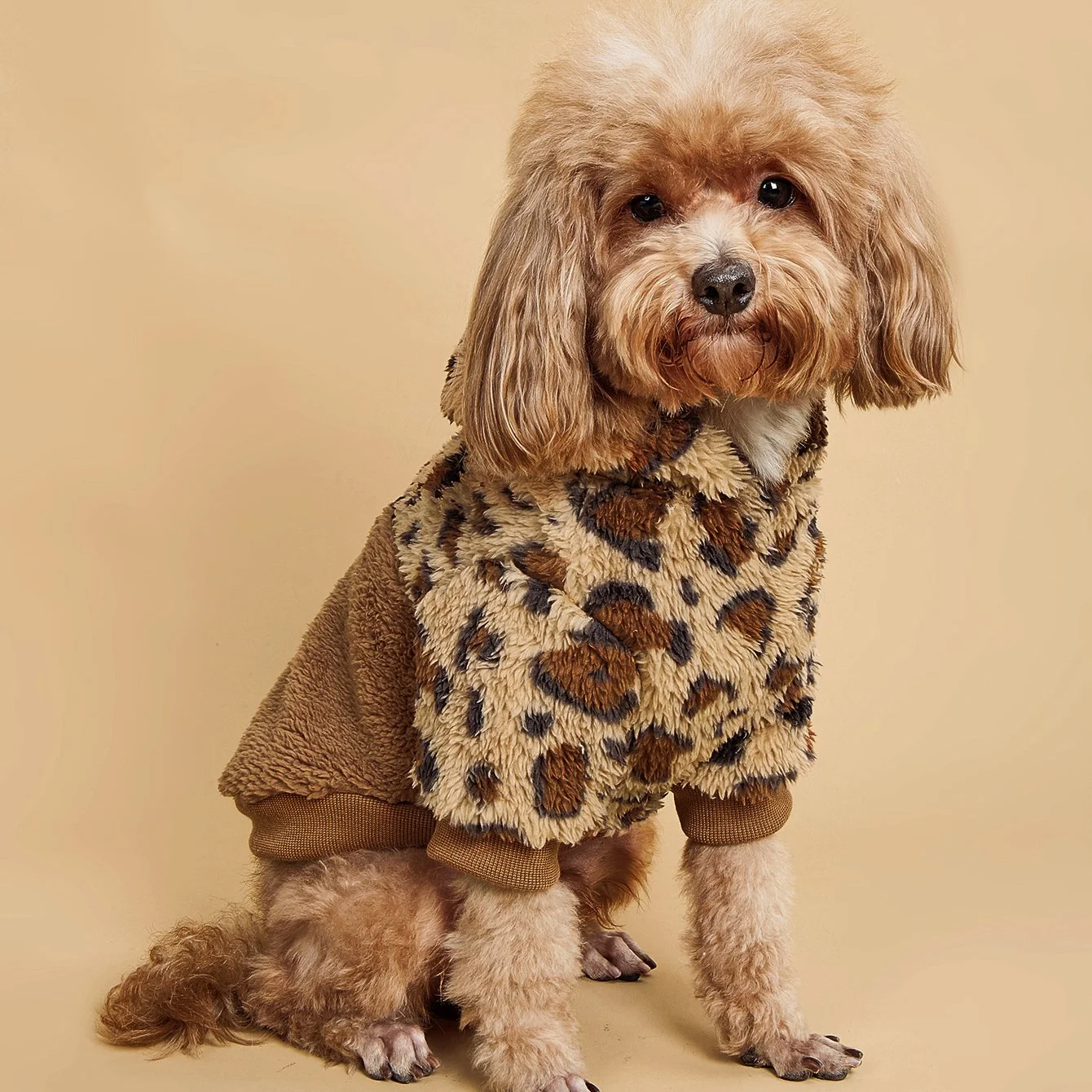 Cozy Leopard Hoodie Sweatshirt for Small & Medium Dogs