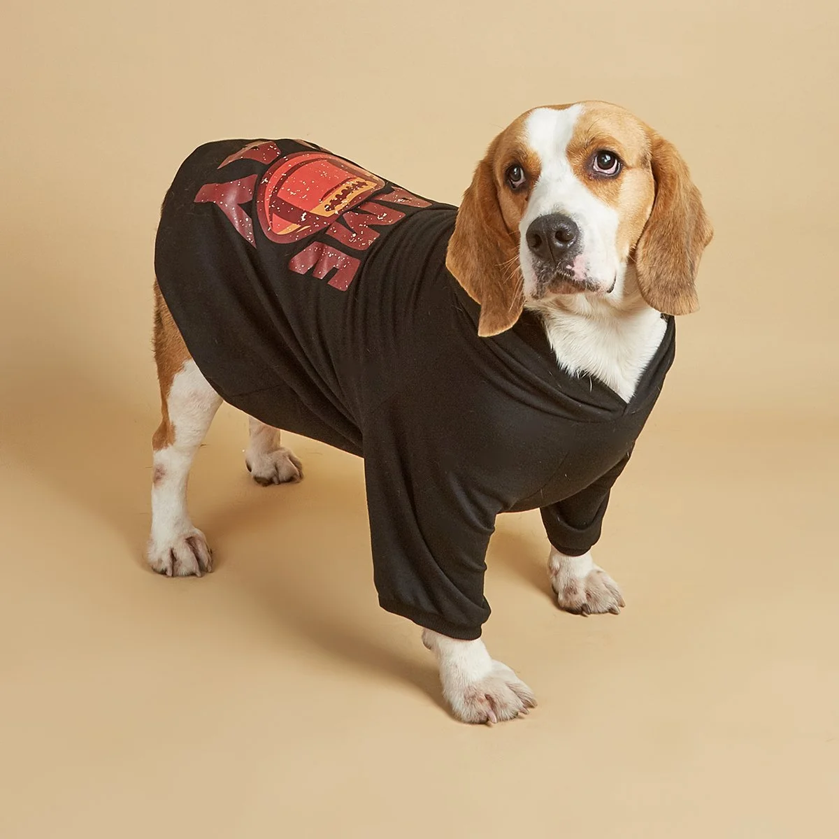 Rugby Printed Dog Hoodie for Small Dogs