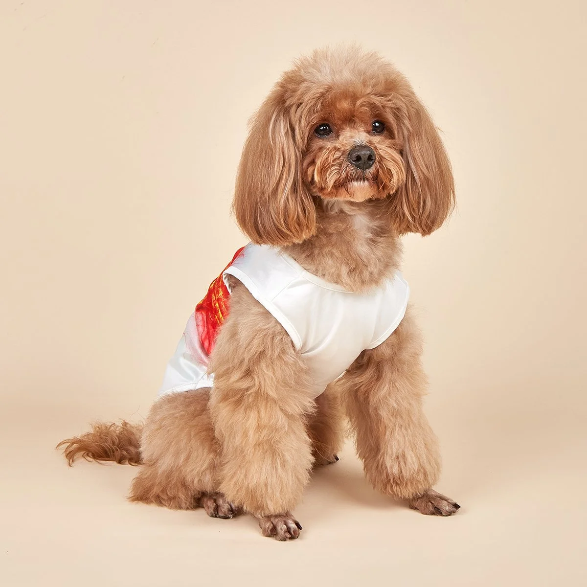 Soccer Goal Button-Up Dog Shirt