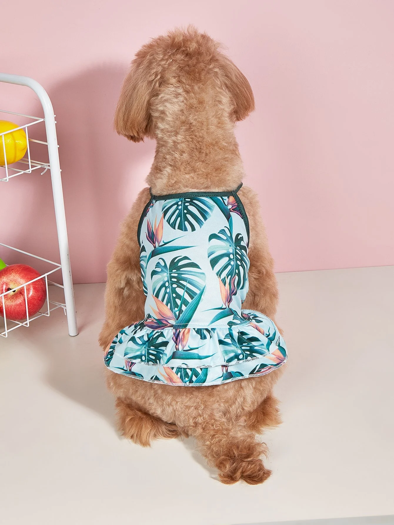 Coconut Tree Print Dog Dress