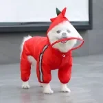 Pet Dog Raincoat