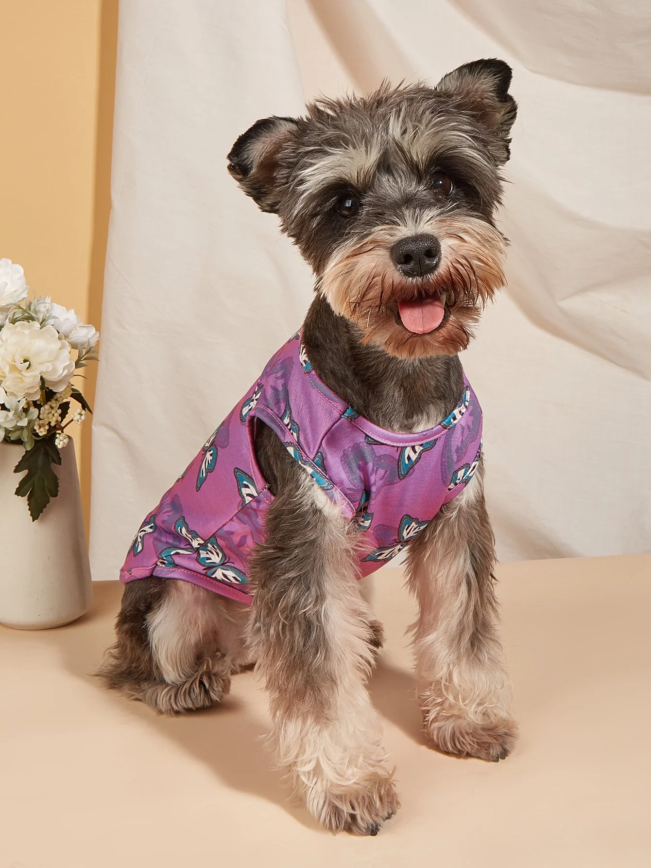 Butterfly Print Dog Shirt