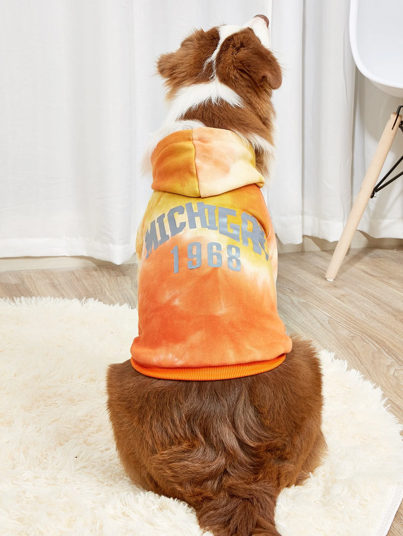 Dog Hoodie with Letters Print