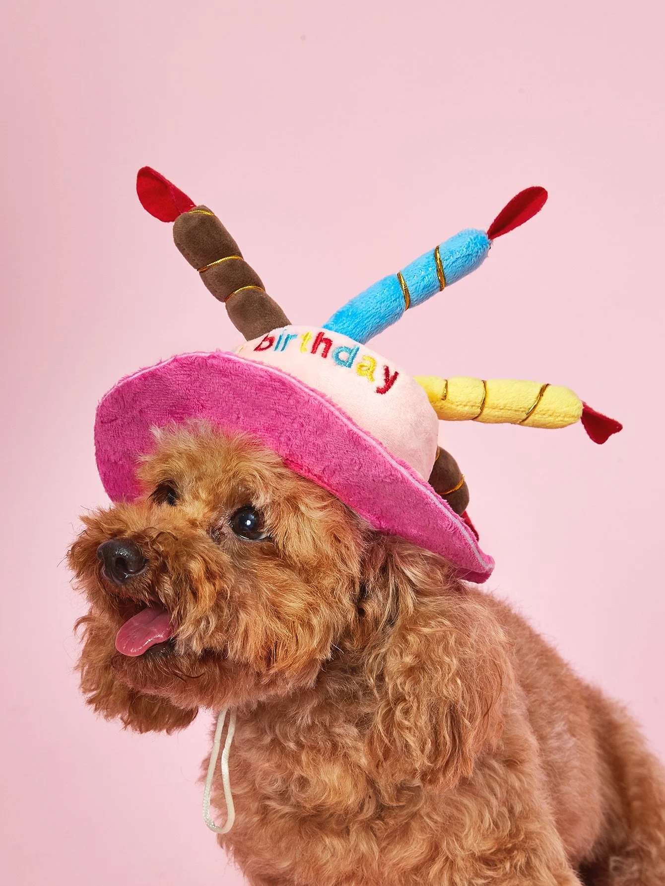 Cute Dog Cat Birthday Cake Hat with Candles