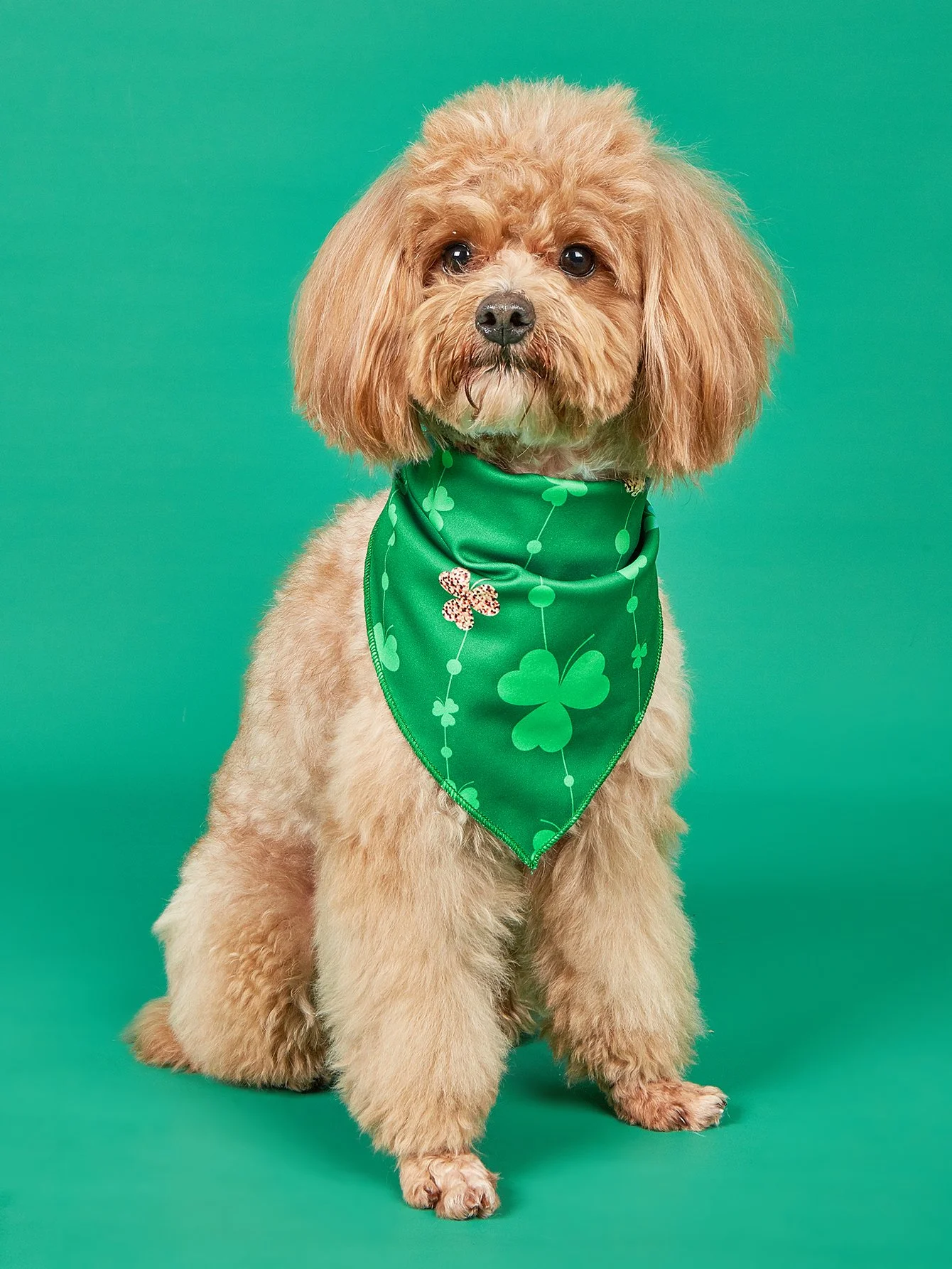 Soft Clover Bandana for Small and Medium Dogs