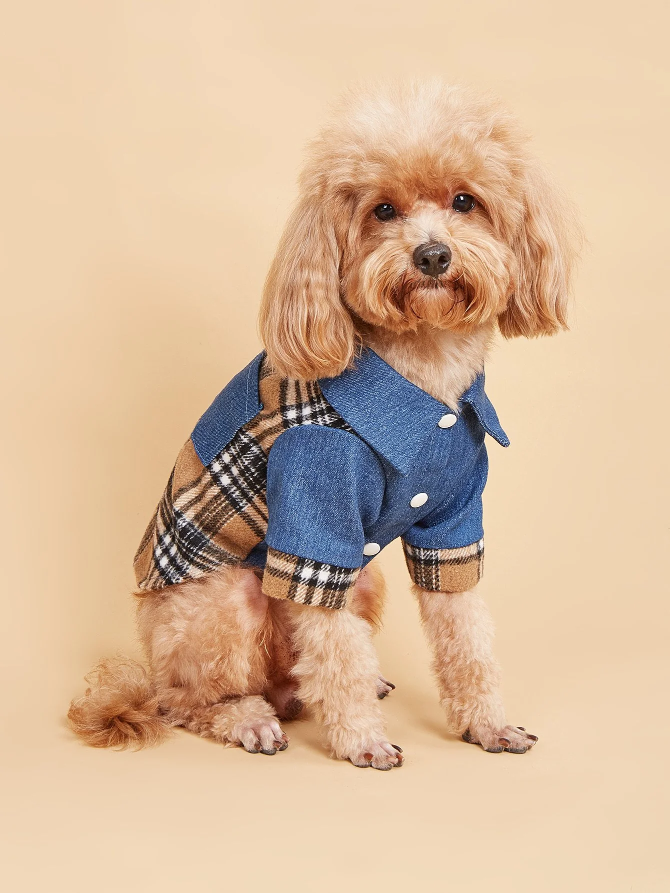 Stylish Denim & Plaid Dog Outfit