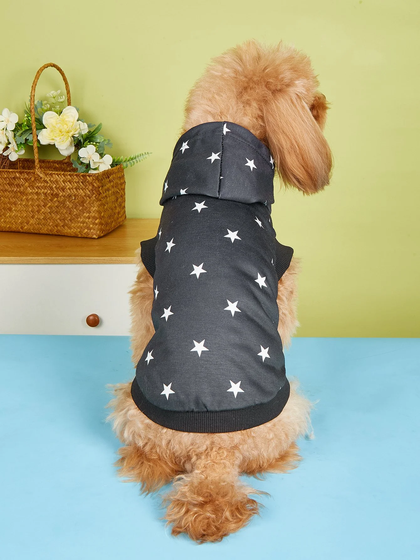 Stylish Dog & Cat Hoodie