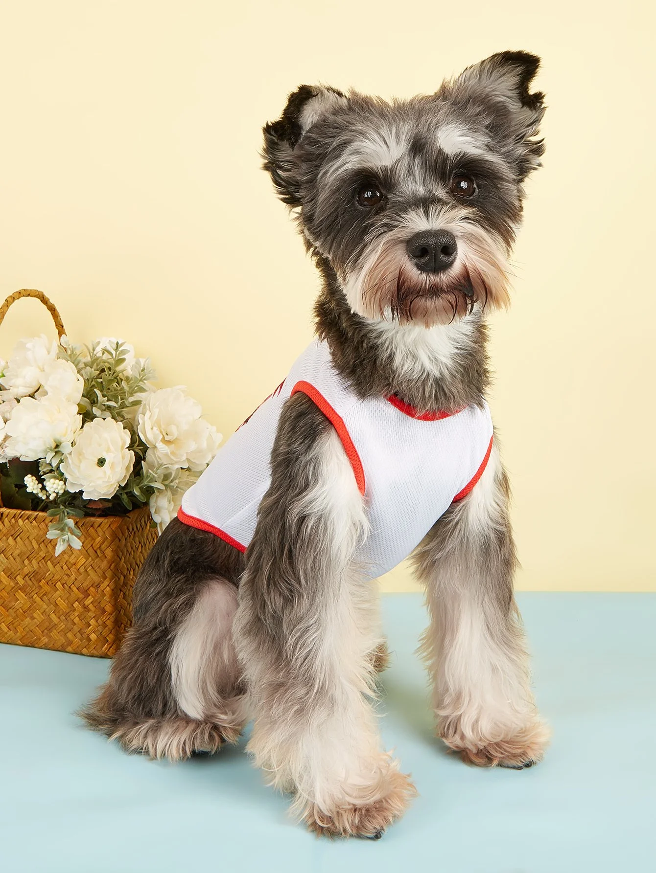 Cute Pineapple Print Pet Tank Top